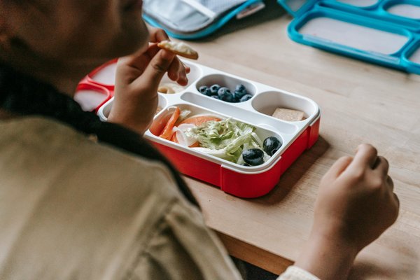 Révélez l'univers des lunch boxes écolos et stylées !